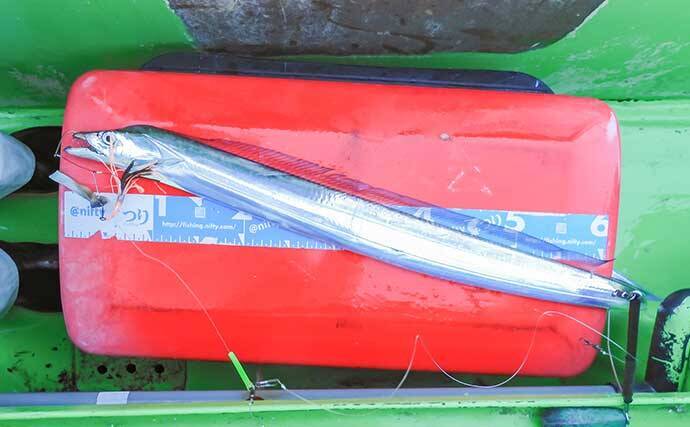 相模湾タチウオ釣り110cm頭に釣る人32尾【神奈川・ちがさき丸】タナは130〜200m