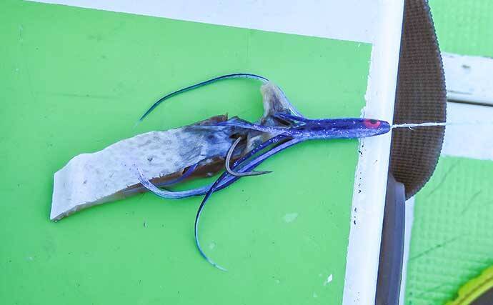 相模湾タチウオ釣り110cm頭に釣る人32尾【神奈川・ちがさき丸】タナは130〜200m