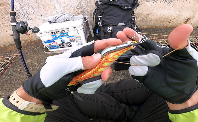 「大阪湾奥にマダコ釣りシーズン到来」タコジグで本命マダコとシーズン初対面【大阪南港魚つり園】