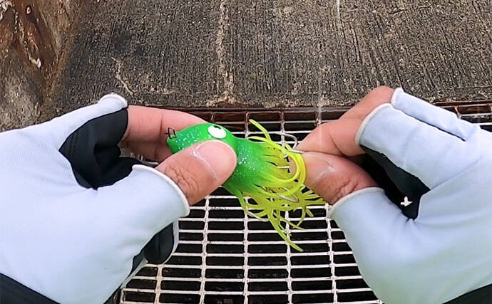 「大阪湾奥にマダコ釣りシーズン到来」タコジグで本命マダコとシーズン初対面【大阪南港魚つり園】