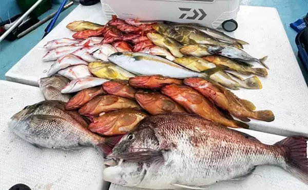 【沖のルアー釣果速報】ジギング＆タイラバで7kg超マダイを頭に多彩な魚種がヒット（福岡・長崎）
