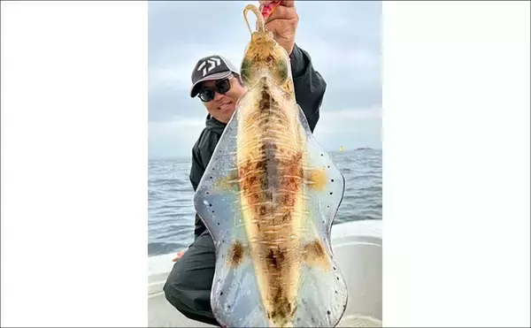 「【沖のルアー釣果速報】ジギング＆タイラバで7kg超マダイを頭に多彩な魚種がヒット（福岡・長崎）」の画像