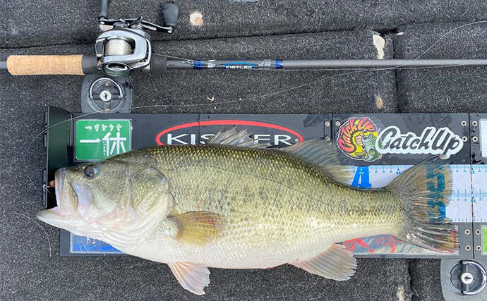 バス釣りにおける【アルコナイトリングのメリット・デメリット】　廉価版と侮ることなかれ