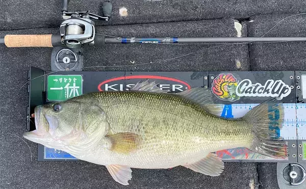 「バス釣りにおける【アルコナイトリングのメリット・デメリット】　廉価版と侮ることなかれ」の画像