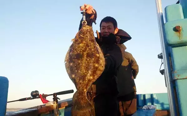 全面解禁後の鹿島沖ヒラメ釣りで本命の他マゴチにタチウオで好土産【茨城】