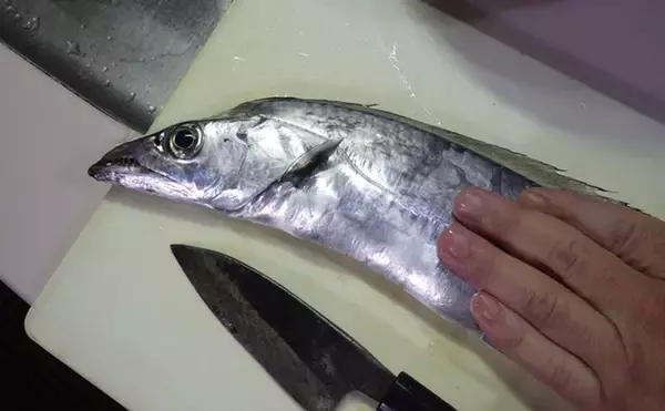 「全面解禁後の鹿島沖ヒラメ釣りで本命の他マゴチにタチウオで好土産【茨城】」の画像