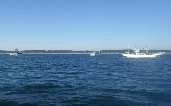 「全面解禁後の鹿島沖ヒラメ釣りで本命の他マゴチにタチウオで好土産【茨城】」の画像