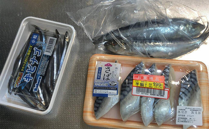 冬の堤防でアナゴが連発！　夜のぶっ込み釣りで時合いを狙い撃ち