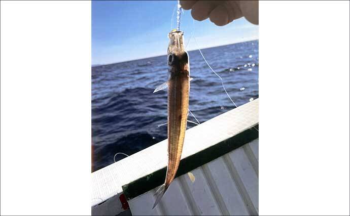 駿河湾のヤリイカ釣りで胴長級をキャッチ【静岡】荒れ海況でも粘り勝ち