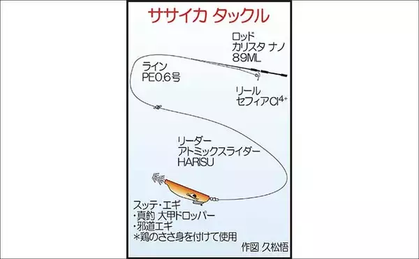 「鶏のささ身にササイカ（ヤリイカ）連発！【山口】波止エギングで本命50尾キャッチ」の画像