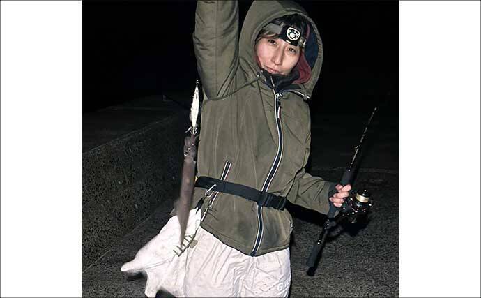 鶏のささ身にササイカ（ヤリイカ）連発！【山口】波止エギングで本命50尾キャッチ