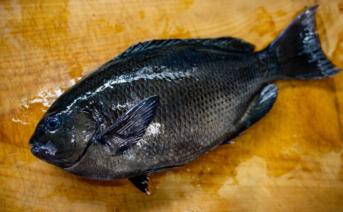 同じ魚なのに場所によって「大トロ」か「クソ」か評価が分かれるワケ