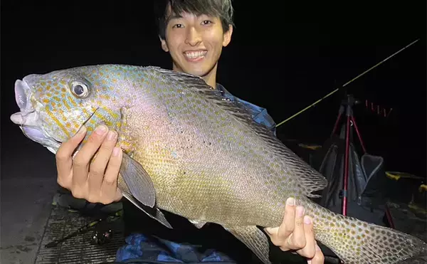 伊豆諸島ブッコミ釣りのススメ 【魅力・タックル・エサ・釣り方・好ポイントを解説】