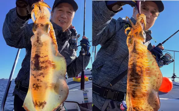 「「ティップランエギングなつきちカップ」が開催　参加費一部はアオリイカ産卵床設置のために寄付」の画像