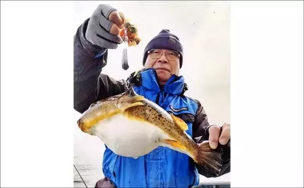 「カットウ釣りで1.3kgヒガンフグをキャッチ【愛知】アタリを拾うソフトな聞きアワセが鍵」の画像