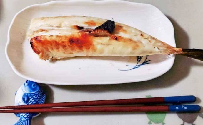 カットウ釣りで1.3kgヒガンフグをキャッチ【愛知】アタリを拾うソフトな聞きアワセが鍵