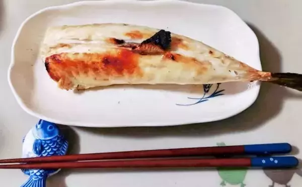 「カットウ釣りで1.3kgヒガンフグをキャッチ【愛知】アタリを拾うソフトな聞きアワセが鍵」の画像