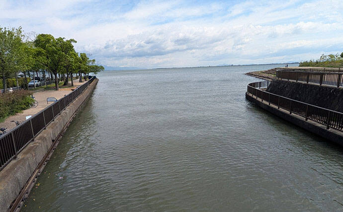 琵琶湖の夏の風物詩「小鮎釣り」が開幕　爆風対策の仕掛け的中で本命好捕【滋賀】