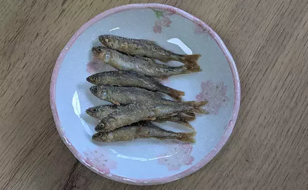 「琵琶湖の夏の風物詩「小鮎釣り」が開幕　爆風対策の仕掛け的中で本命好捕【滋賀】」の画像