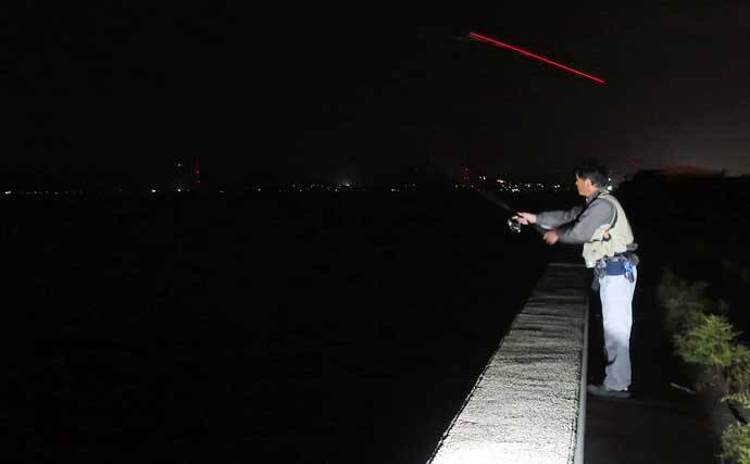 真冬の低活性カサゴは電気ウキ釣りで攻略しよう！ 【タックル・釣り方を解説】