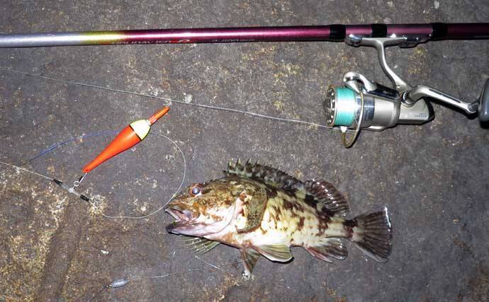 真冬の低活性カサゴは電気ウキ釣りで攻略しよう！ 【タックル・釣り方を解説】