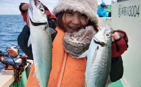 相模湾の船アジ釣りで本命51尾手中！【まごうの丸】38cm筆頭にヒットは良型中心