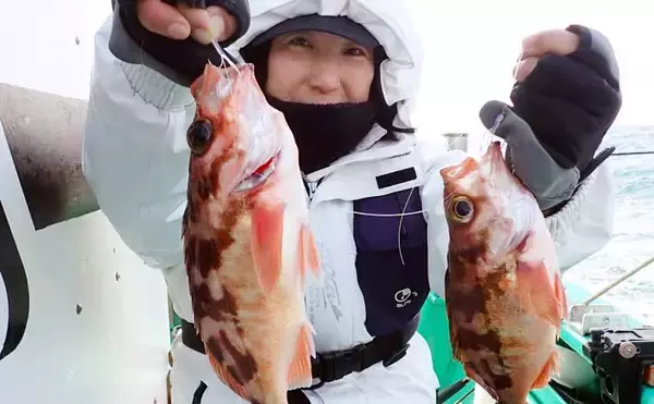 日立沖のオキメバル釣りで好ゲスト混じりで本命手中【茨城】