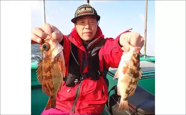 「日立沖のオキメバル釣りで好ゲスト混じりで本命手中【茨城】」の画像