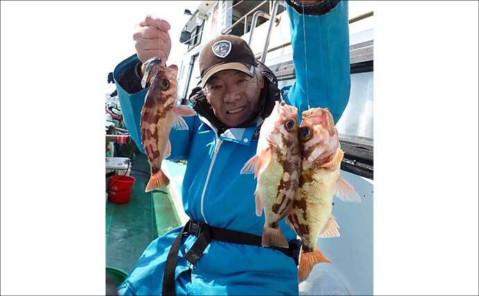 日立沖のオキメバル釣りで好ゲスト混じりで本命手中【茨城】