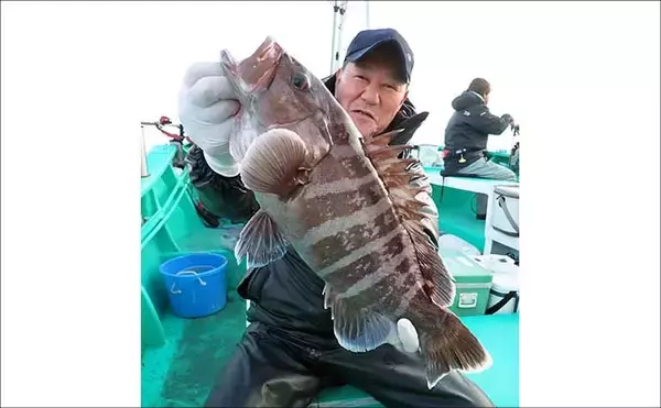 「日立沖のオキメバル釣りで好ゲスト混じりで本命手中【茨城】」の画像