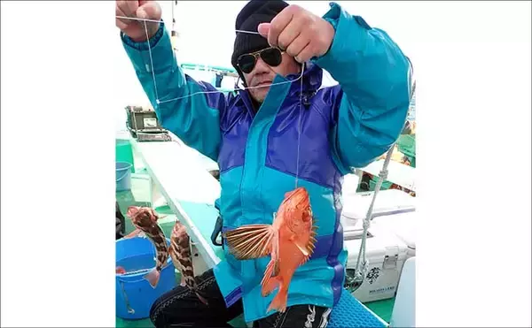 「日立沖のオキメバル釣りで好ゲスト混じりで本命手中【茨城】」の画像