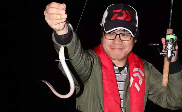 「シーズン到来！」夜の堤防でアナゴを釣ろう【タックル・エサ・釣り方を解説】