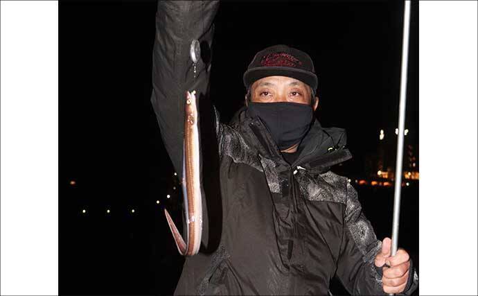 「シーズン到来！」夜の堤防でアナゴを釣ろう【タックル・エサ・釣り方を解説】