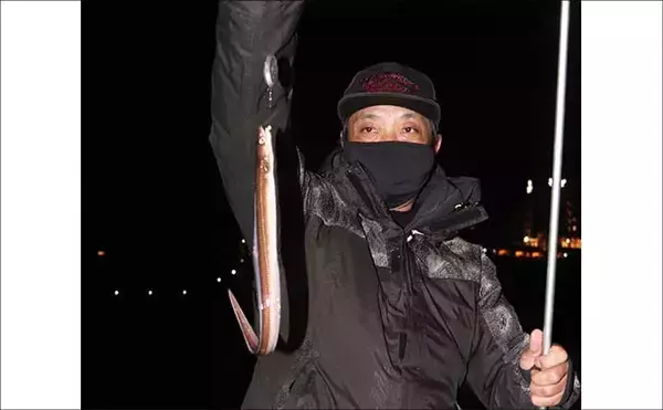 「「シーズン到来！」夜の堤防でアナゴを釣ろう【タックル・エサ・釣り方を解説】」の画像