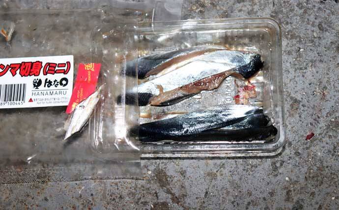 「シーズン到来！」夜の堤防でアナゴを釣ろう【タックル・エサ・釣り方を解説】