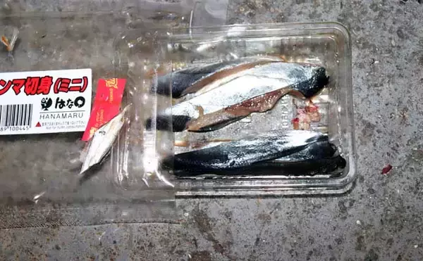 「「シーズン到来！」夜の堤防でアナゴを釣ろう【タックル・エサ・釣り方を解説】」の画像