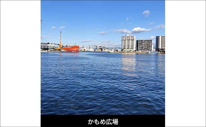 博多湾の夏の風物詩『ショアタチウオ』開幕　接岸の理由と攻略法を徹底解説