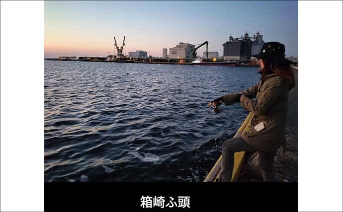 博多湾の夏の風物詩『ショアタチウオ』開幕　接岸の理由と攻略法を徹底解説
