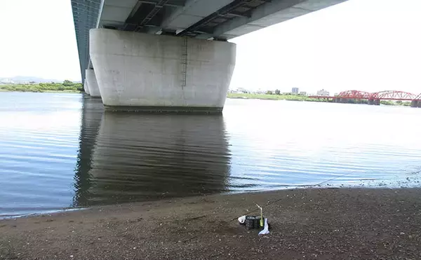 「猛暑を避けて橋の下でハゼ釣り【和歌山・紀の川】15cm頭に28匹で夏ハゼの成長を実感」の画像