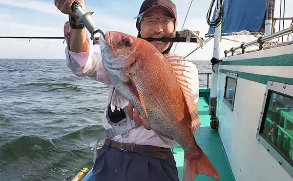 内房の伝統釣法「シャクリマダイ」釣り堪能　好ゲストに32cmカワハギ
