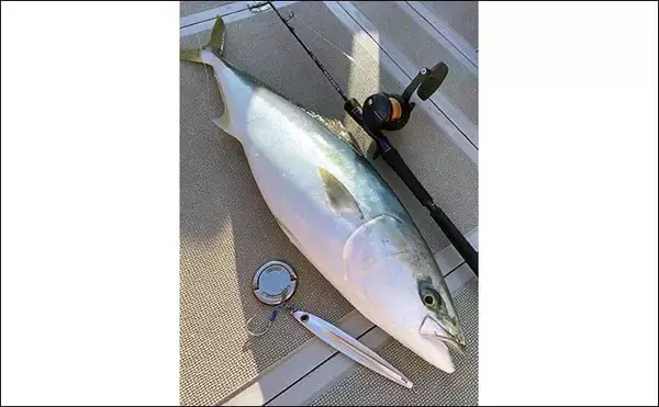 「国境の島「対馬」沖でのジギング&タイラバでブリにマダイをキャッチ（福岡・なら丸）」の画像