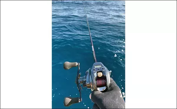 「国境の島「対馬」沖でのジギング&タイラバでブリにマダイをキャッチ（福岡・なら丸）」の画像