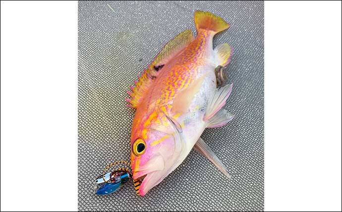 国境の島「対馬」沖でのジギング&タイラバでブリにマダイをキャッチ（福岡・なら丸）