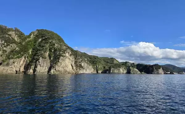 「「海の中はまだ夏？」沖磯フカセ釣りでシイラにソーダカツオなど7魚種【西伊豆】」の画像