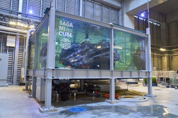 釣りを仕事にするチャンス？　日本さかな専門学校が＜さかなの講師＞募集説明会を開催