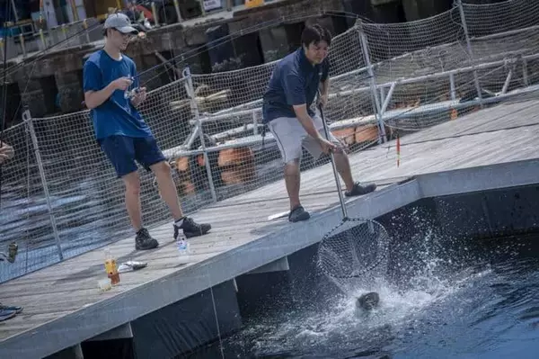 「釣りを仕事にするチャンス？　日本さかな専門学校が＜さかなの講師＞募集説明会を開催」の画像