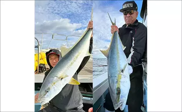 「【沖釣り釣果速報】ヒラマサ7kg頭に船中60尾超！玄界灘の落とし込み釣りが最盛期（福岡）」の画像