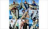 「【沖釣り釣果速報】ヒラマサ7kg頭に船中60尾超！玄界灘の落とし込み釣りが最盛期（福岡）」の画像15