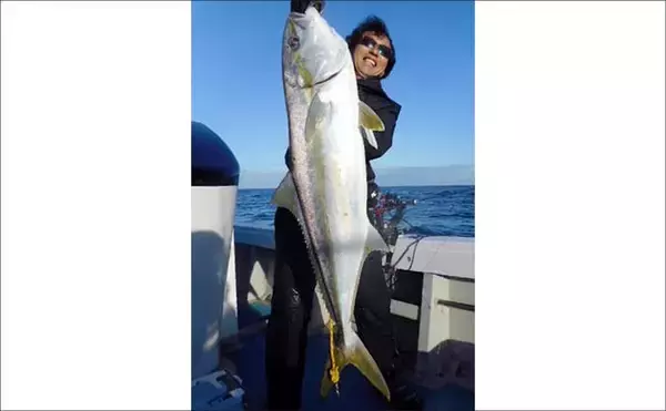 「【沖釣り釣果速報】ヒラマサ7kg頭に船中60尾超！玄界灘の落とし込み釣りが最盛期（福岡）」の画像
