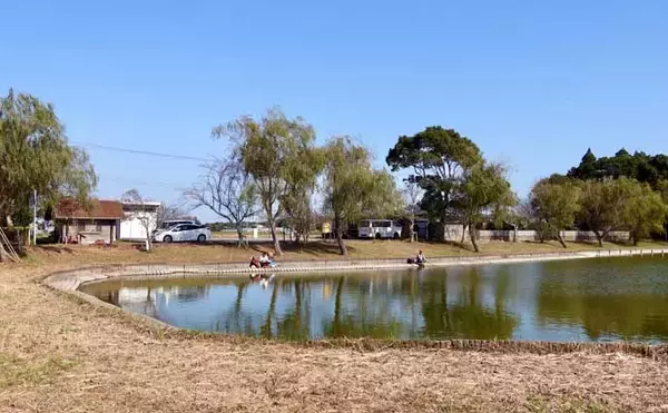 「今週のヘラブナ推薦釣り場2025【千葉・宮島池】」の画像